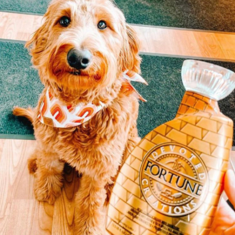 fortune 08 08 2024 (3) fortune 08 08 2024 (3)